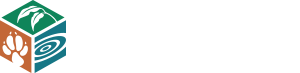 Logo for Aelert - View website design