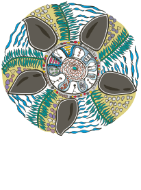 Logo for Minjerribah Camping - View website design