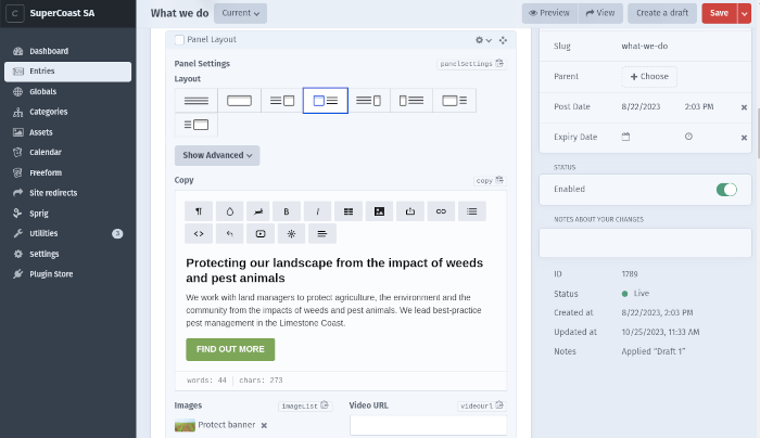 Craft CMS editing environment