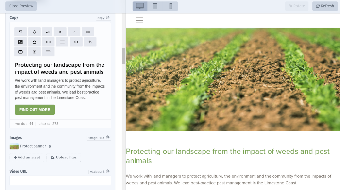 Craft CMS editing and preview environment